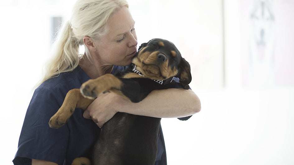 En person som kysser en hund.