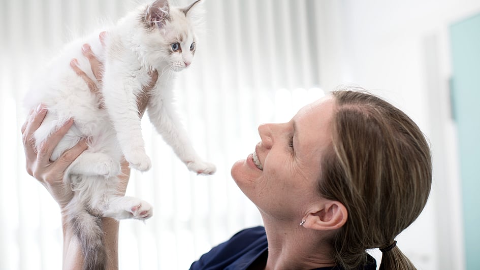 En person som holder en katt.