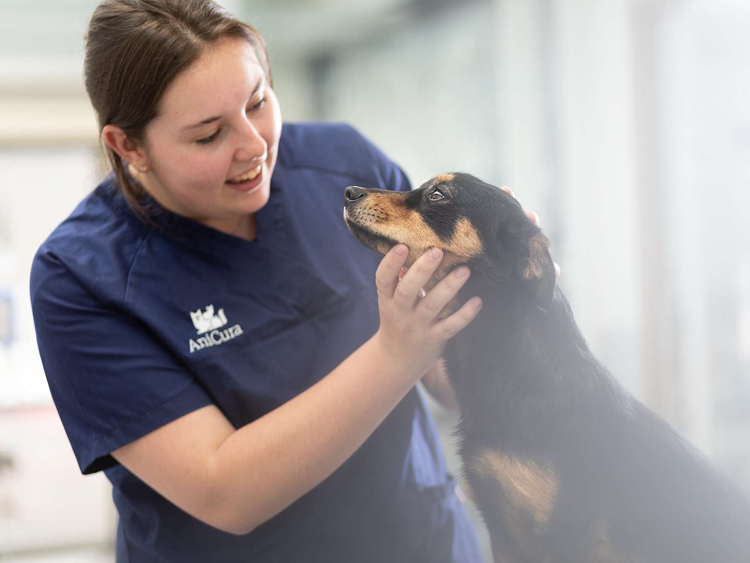 hund hilser på veterinæren