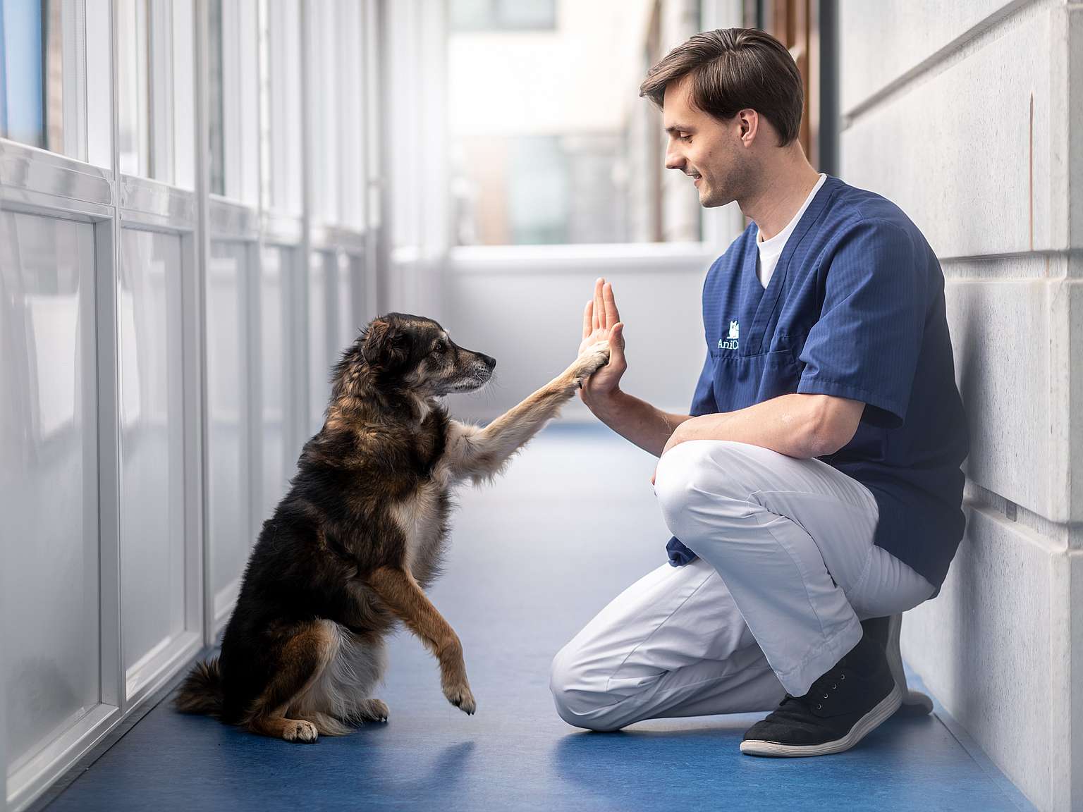 veterinær og hund