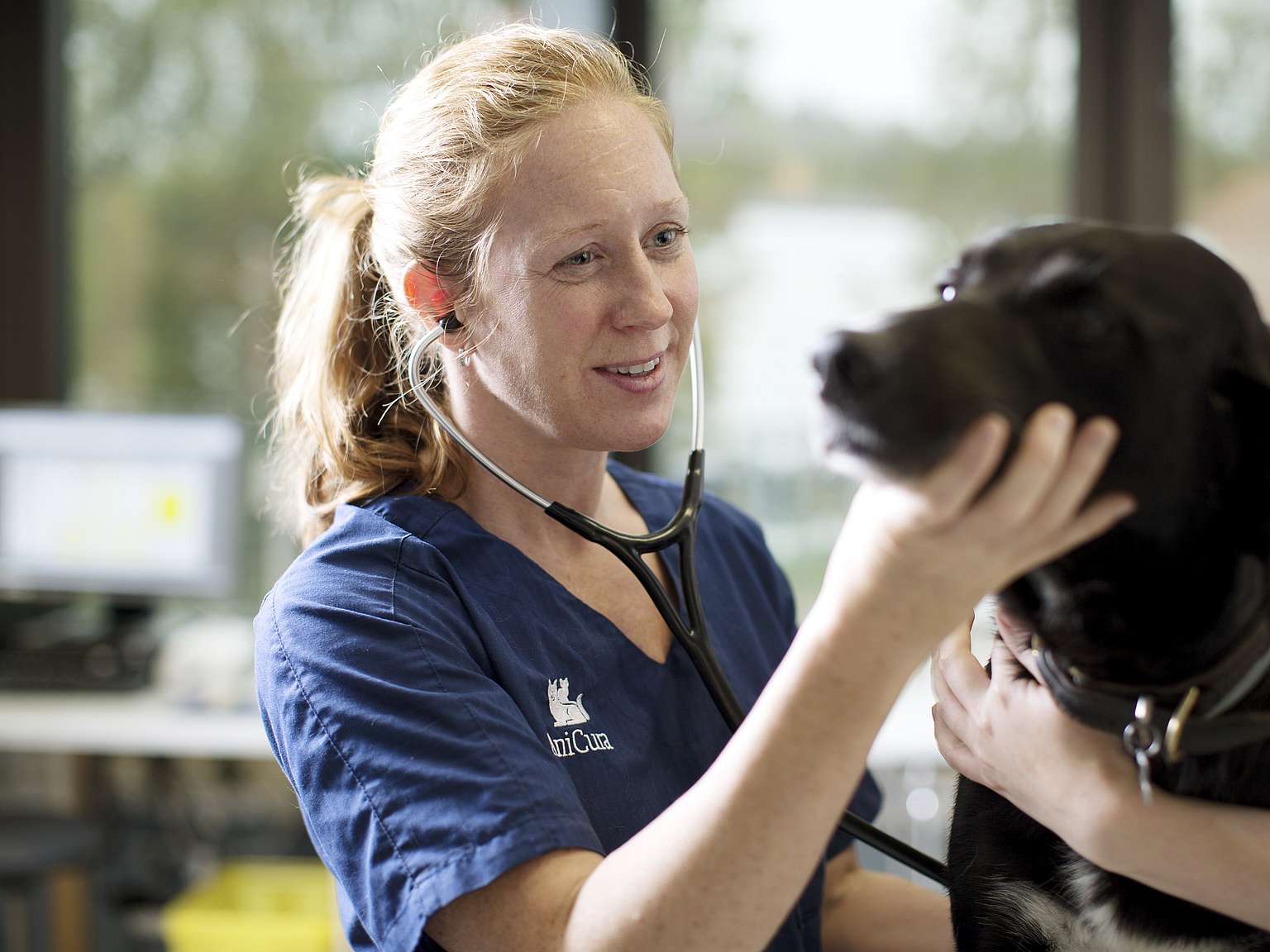 Veterinarian and dog