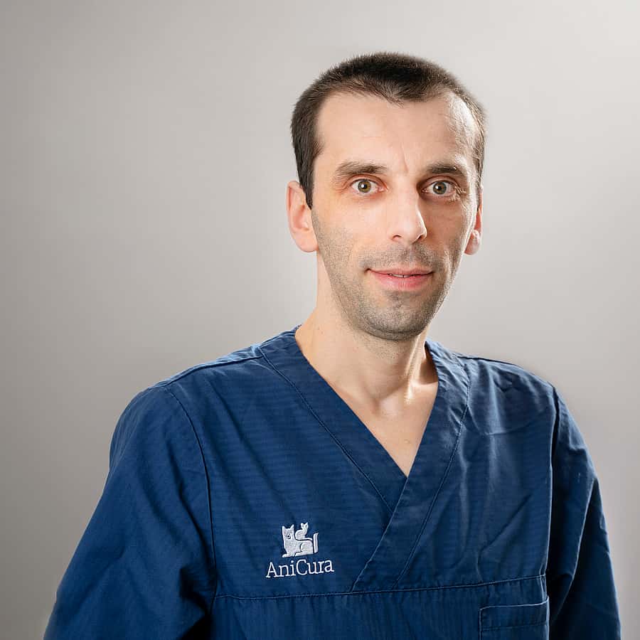 Mirza Sisic