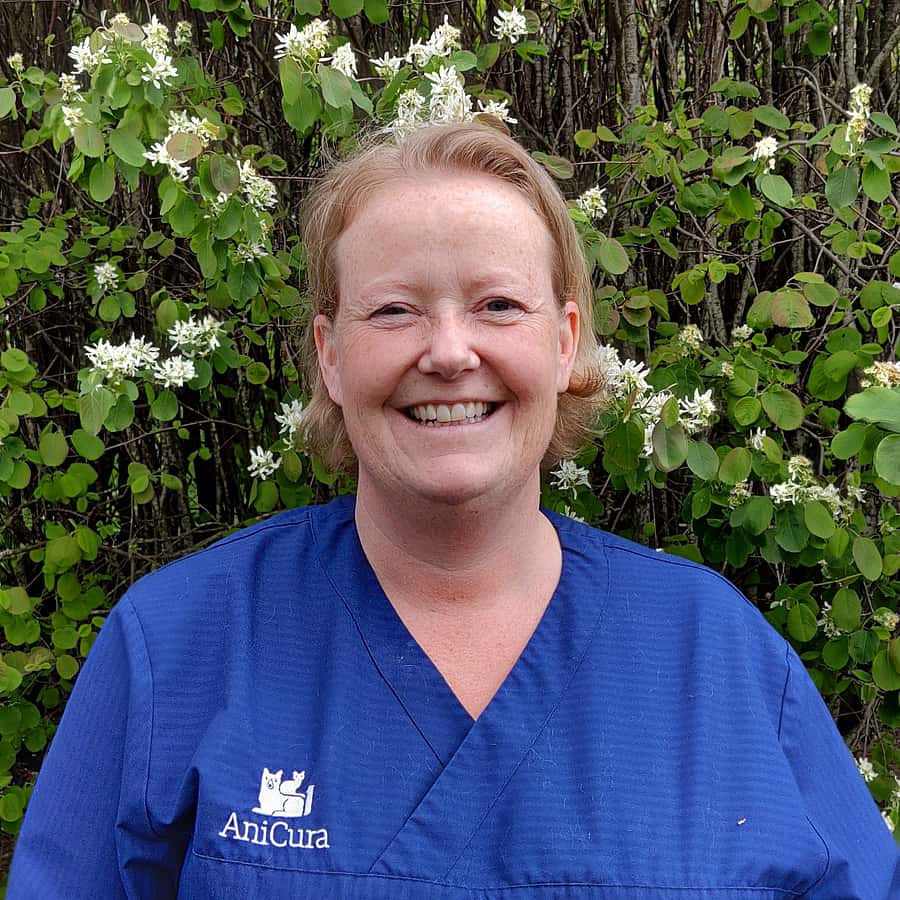 Hanne Beate Bølviken Nicolaysen