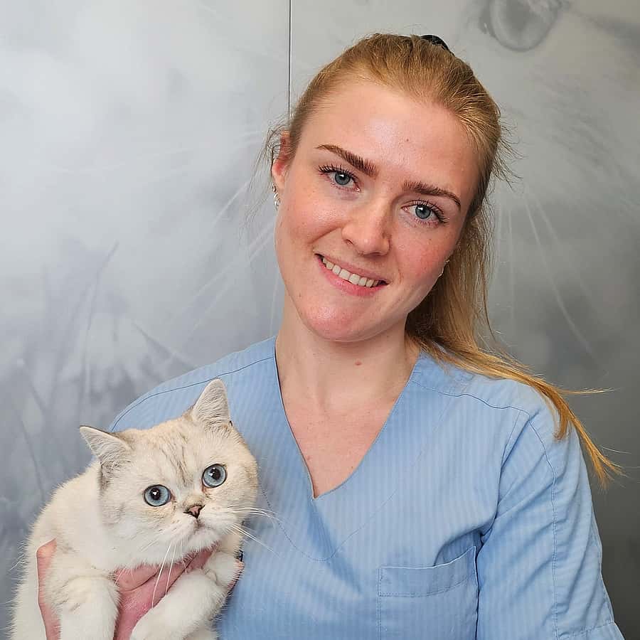Lise Topp Torkehagen