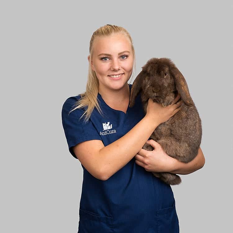 Vilde Fasteraune