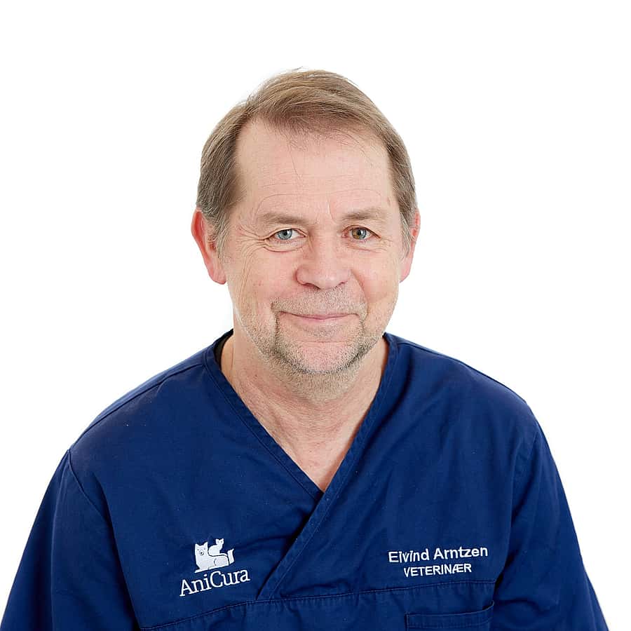 Eivind Arntzen