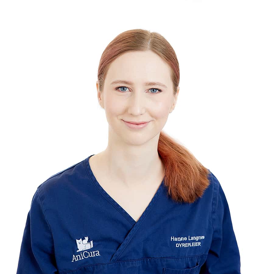 Hanne Langnes