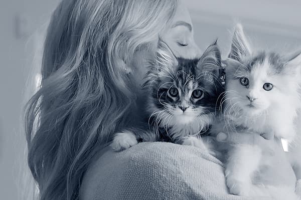 En person som holder to katter.