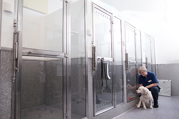 En person og hund i en kennel.