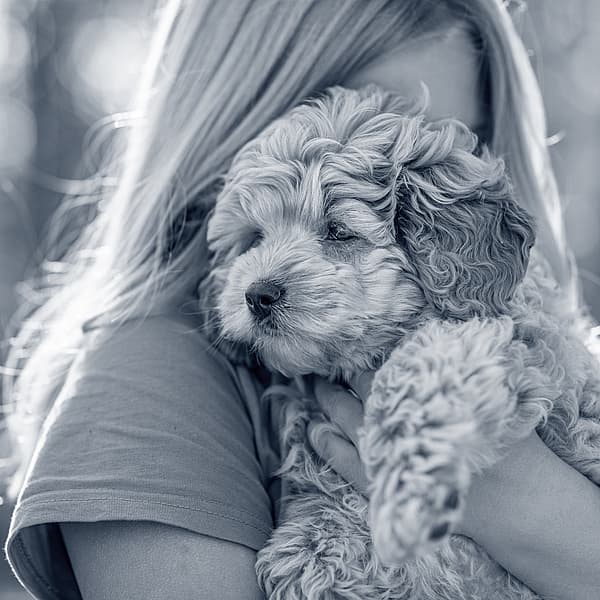 En person som holder en hund.