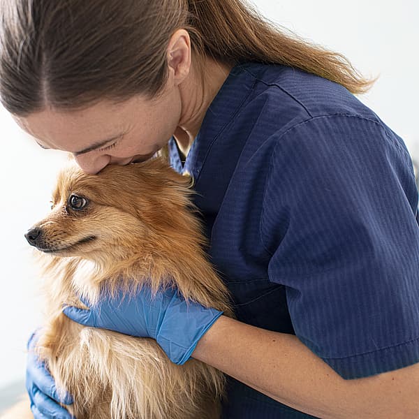 En person i blå skrubber som kysser en hund.