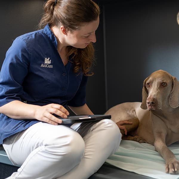 En person som sitter på en seng med en hund.