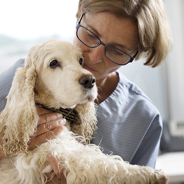 En person som holder en hund.