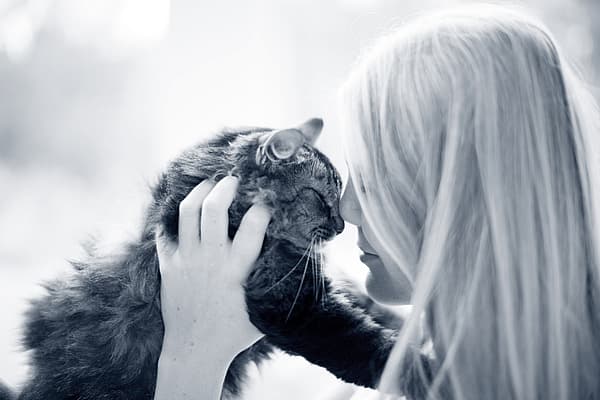 En person som holder en katt.