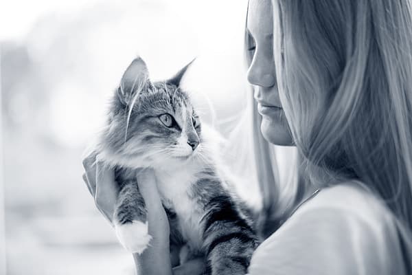 En person som holder en katt.