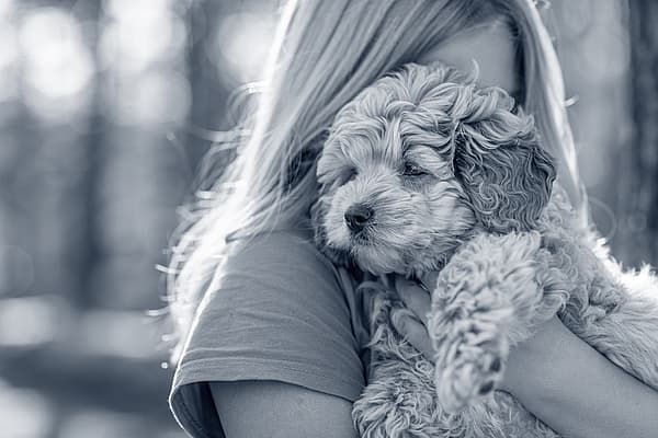 En person som holder en hund.