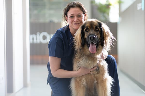 En person som holder en hund.