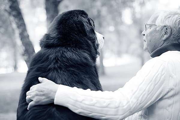 En person som holder en hund.