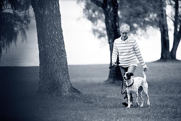 En person som går tur med hund.