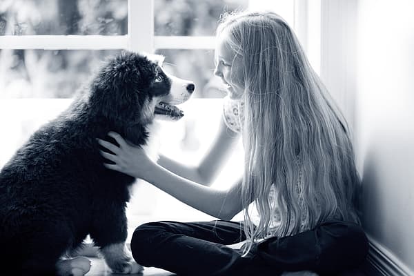 Et barn som klapper en hund.