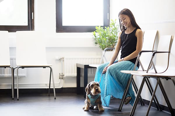 Et barn som sitter på en stol med en hund.