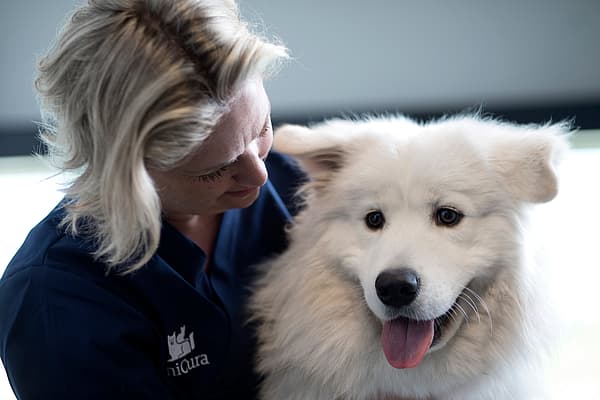 En person som holder en hund.