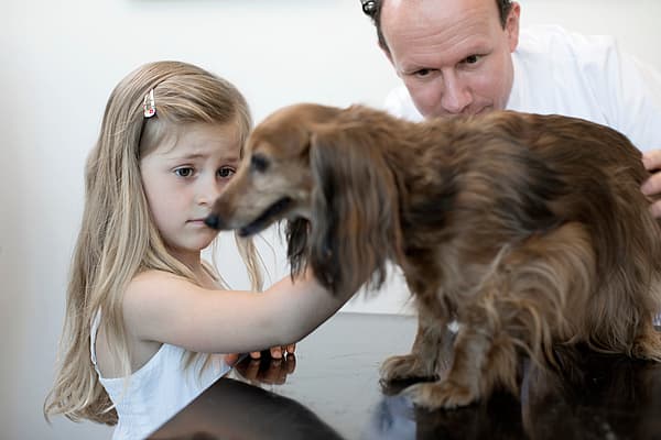 Et barn og en hund.
