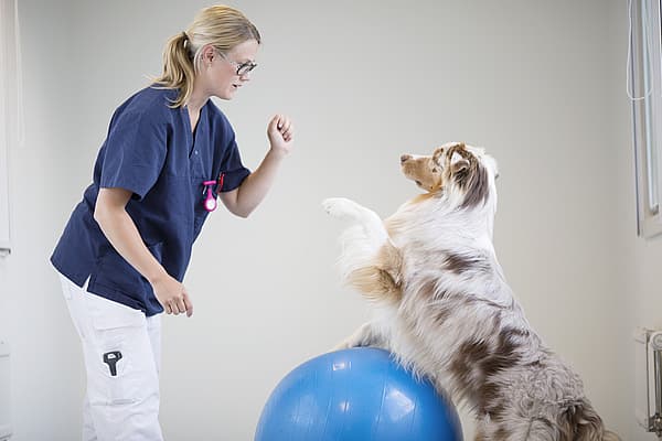 En person og hund som står på en blå ball.