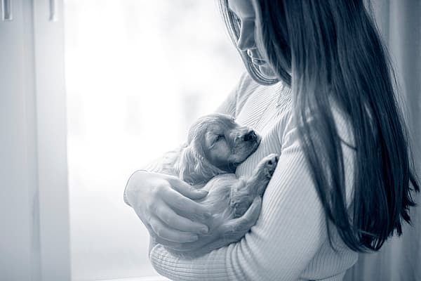 En person som holder en hund.