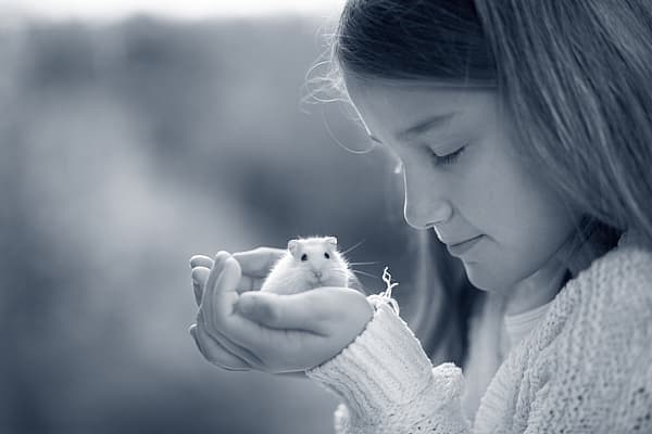 Et barn som holder en hamster.