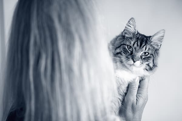 En person som holder en katt.