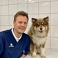 Bilde av Jon Ringsevjen, Klinikkveterinær