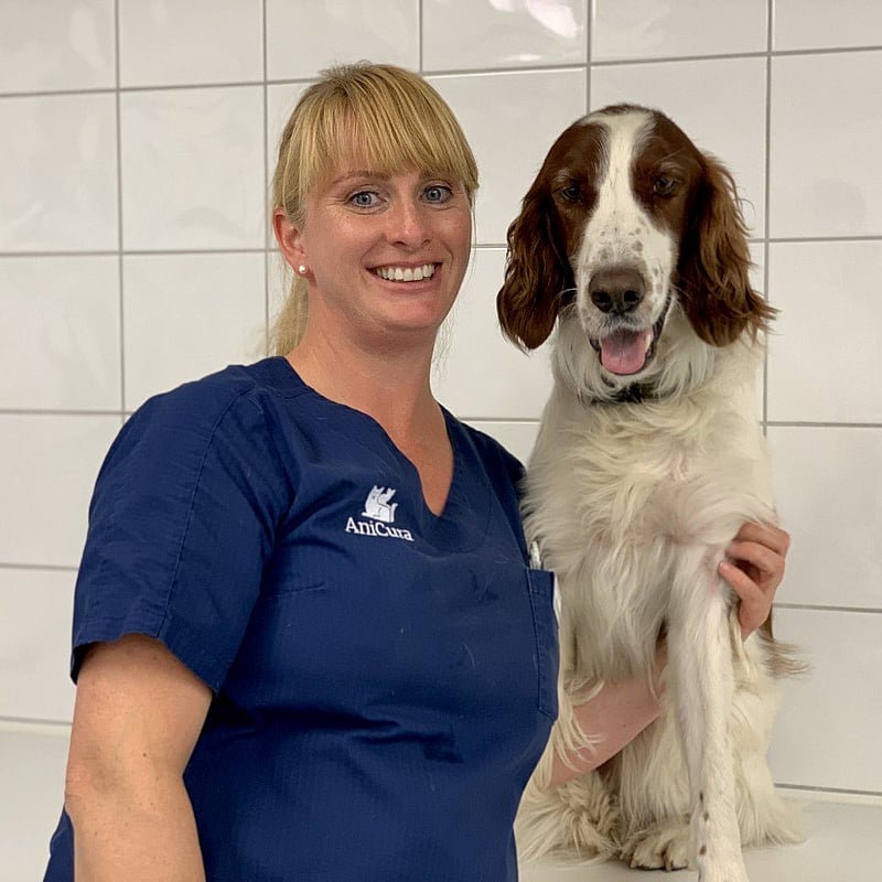 Bilde av Camilla Hamberg Riddervold, Klinikkveterinær