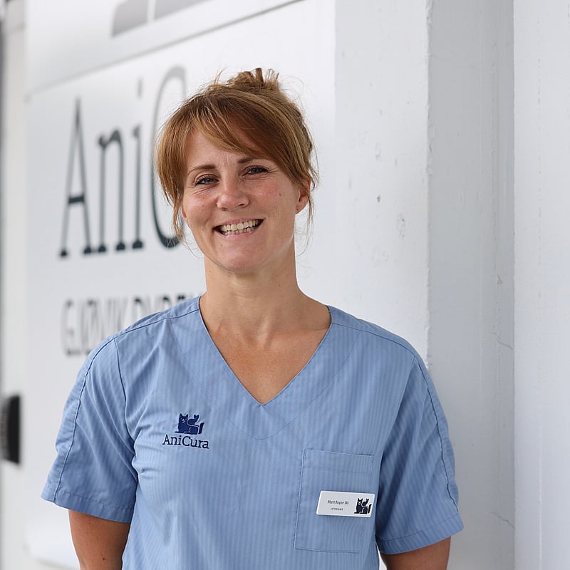 Bilde av Marit Rogne Ski, Veterinær