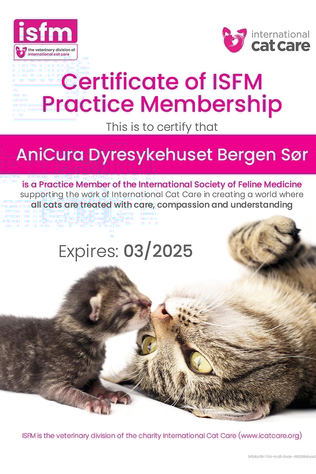 En katt og kattunge med tekst.