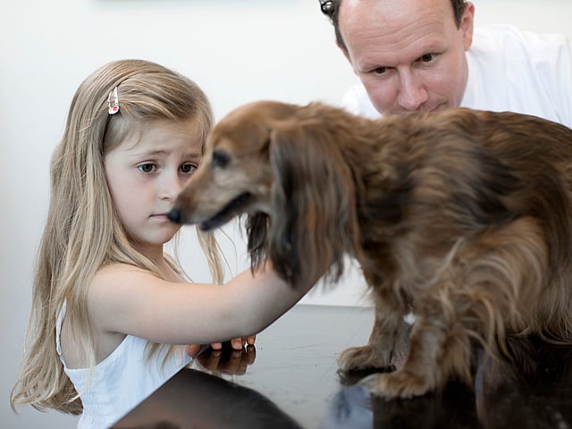 Et barn og en hund.