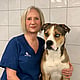 Bilde av Heidi Haugholt, Klinikkleder Og Veterinær. Spesialist I Smådyrsykdommer (hund Og Katt)