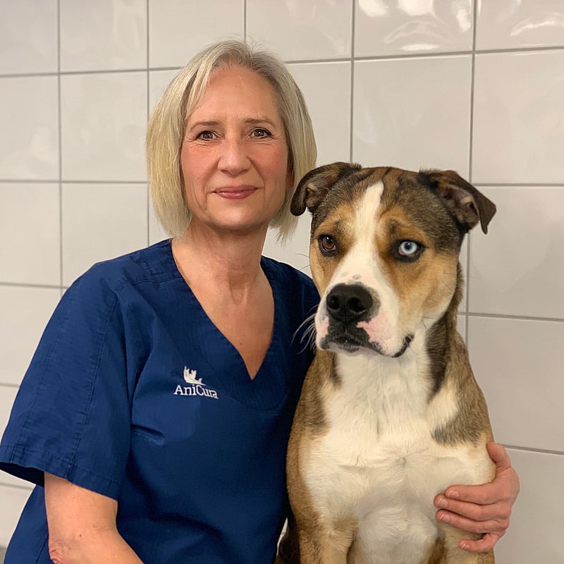 Bilde av Heidi Haugholt, Klinikkleder Og Veterinær. Spesialist I Smådyrsykdommer (hund Og Katt)