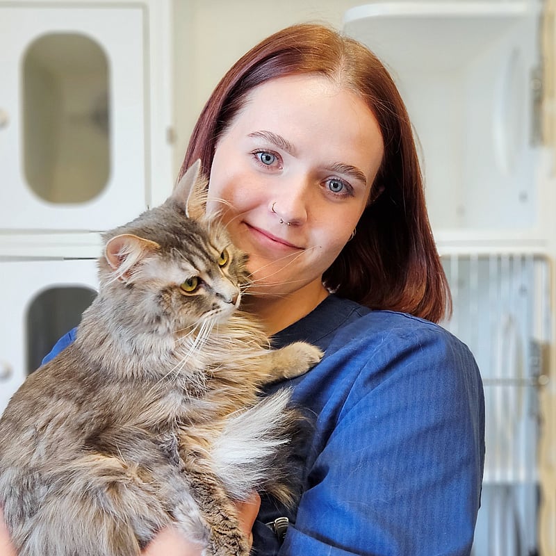 Bilde av Sarah Kristin Utstrand, Dyrepleier