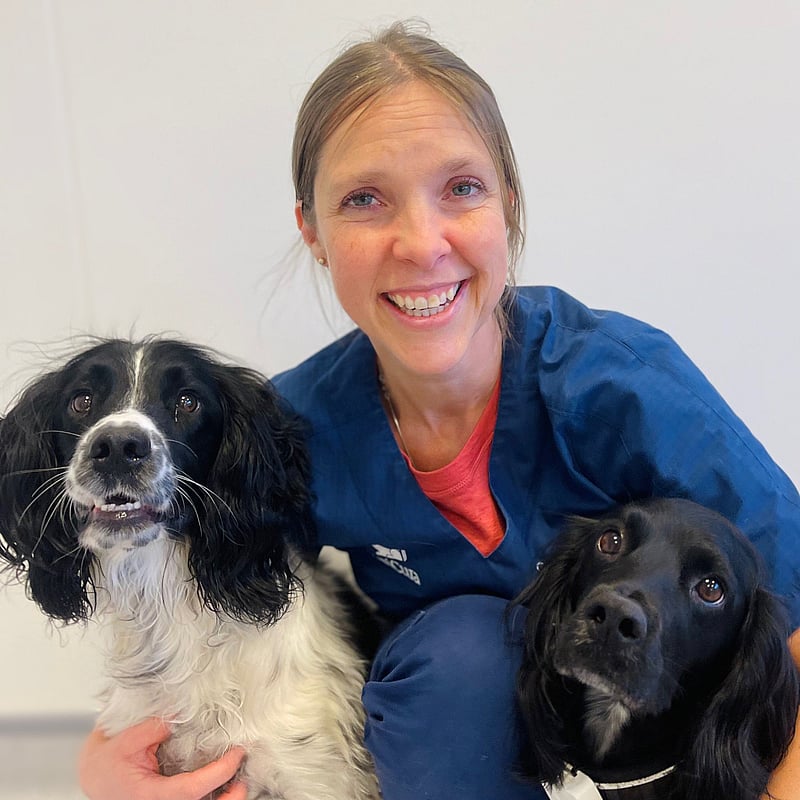 Bilde av Guro Otteren-Neale, Veterinærene