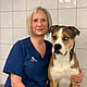 Bilde av Heidi Haugholt, Klinikkleder Og Veterinær. Spesialist I Smådyrsykdommer (hund Og Katt)