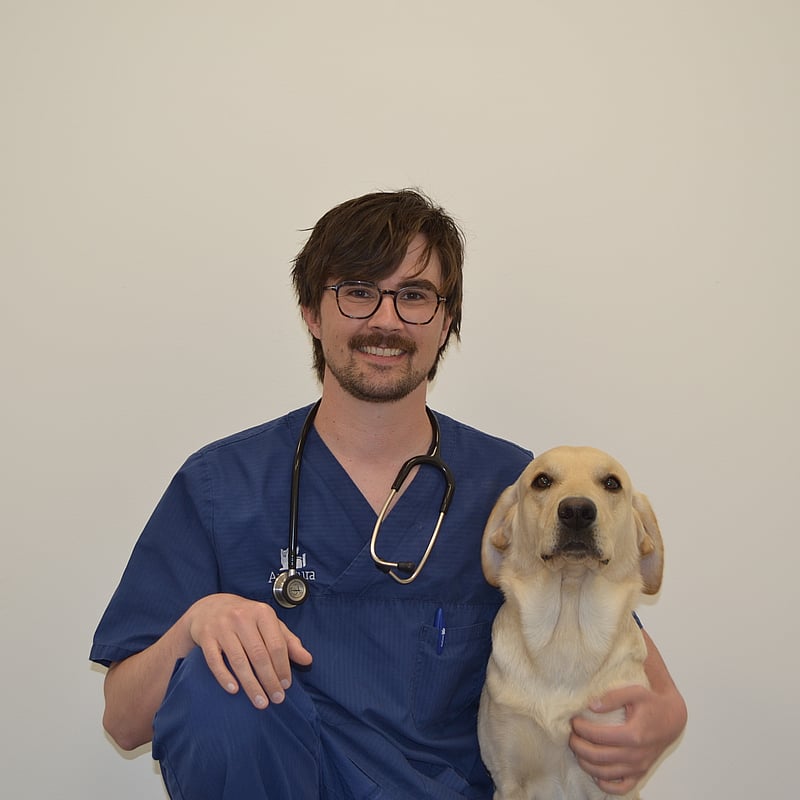 Bilde av Lars Mathias Haug, Veterinær