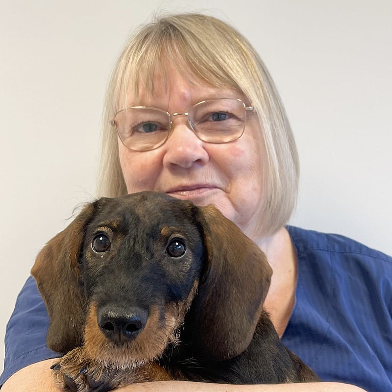 Bilde av Eva Heldal Monsen, Veterinærene