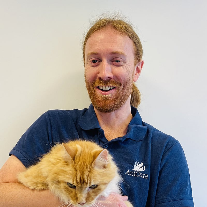 Bilde av Stian Nordvik Hesjedal, Veterinærene