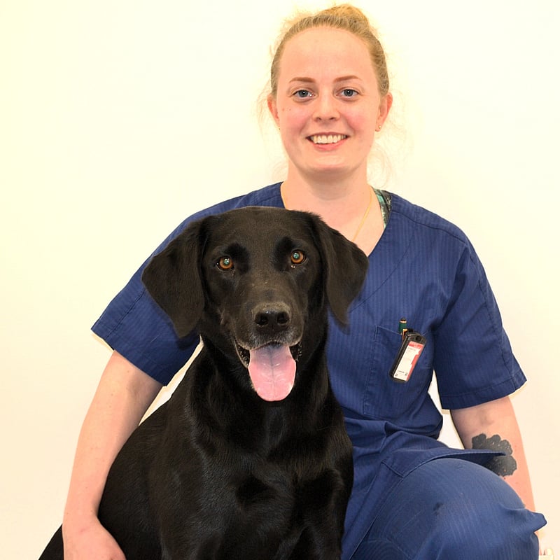 Bilde av Kathinka Hognestad, Veterinær