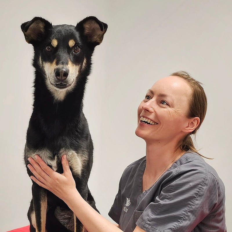 Bilde av Kathrine Nordahl, Veterinær