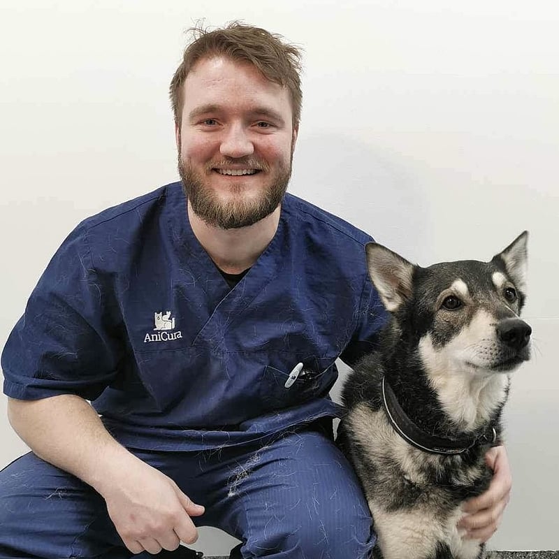 Bilde av Didrik Andreas Haugeberg, Veterinær