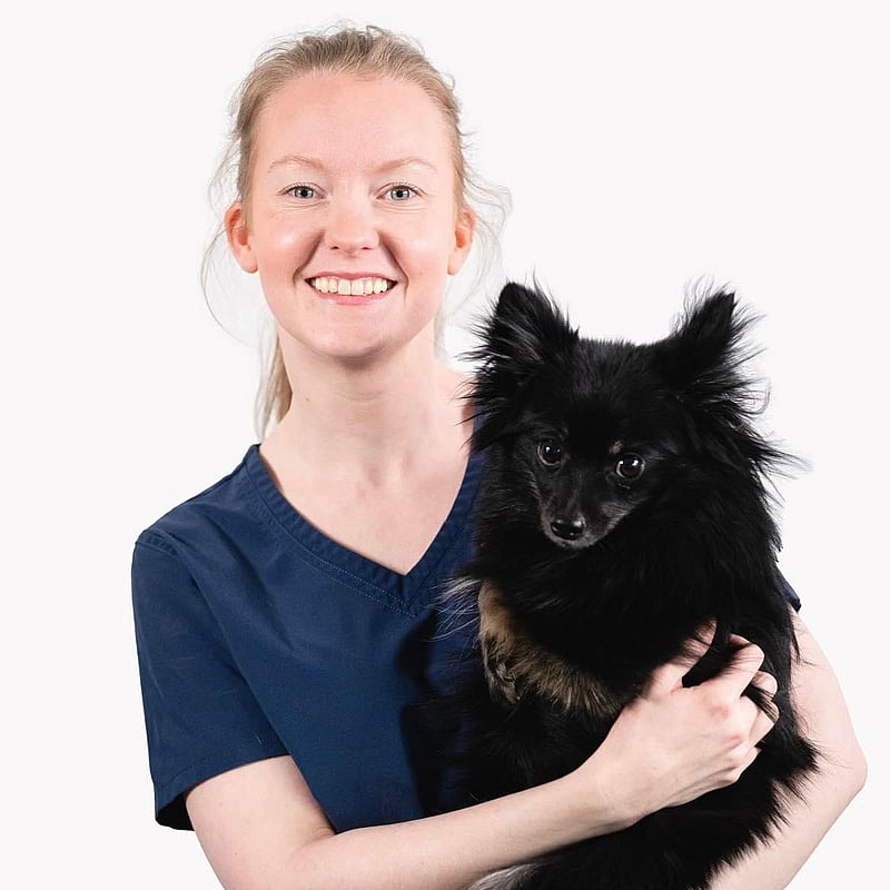 Bilde av Marianne Raunholm Kirkebø, Veterinær