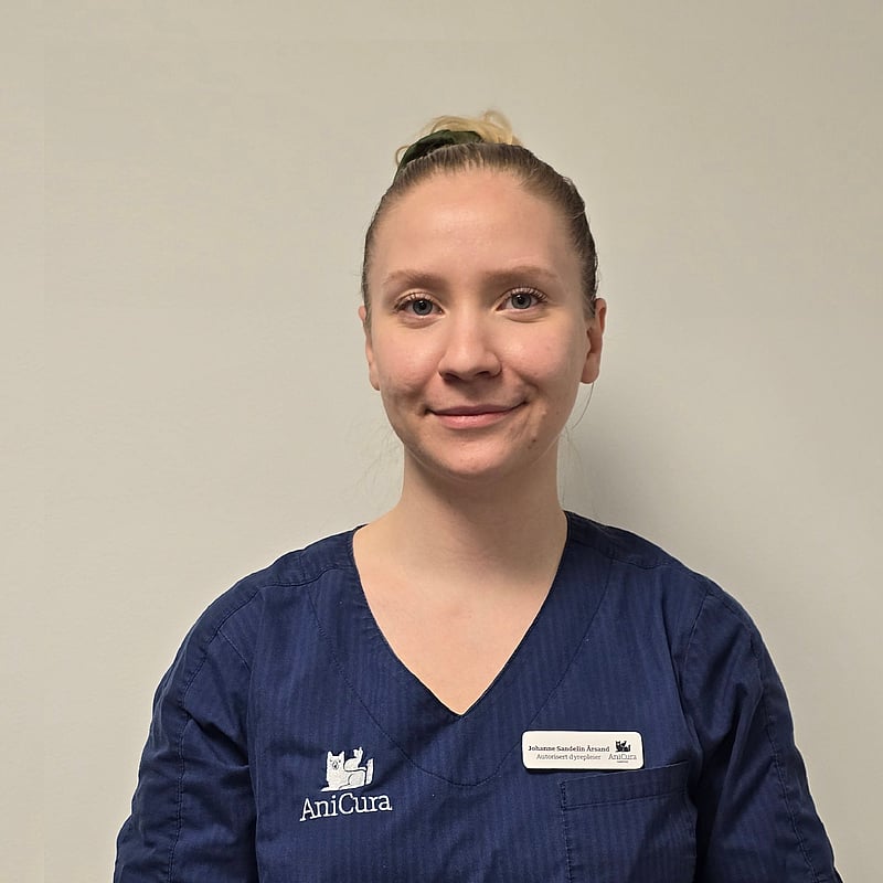 Bilde av Johanne Sandelin Årsand, Autorisert Dyrepleier