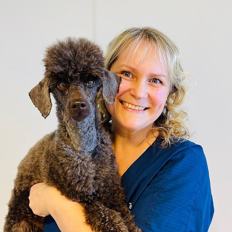 Bilde av Tone Storemark, Resepsjon og butikk